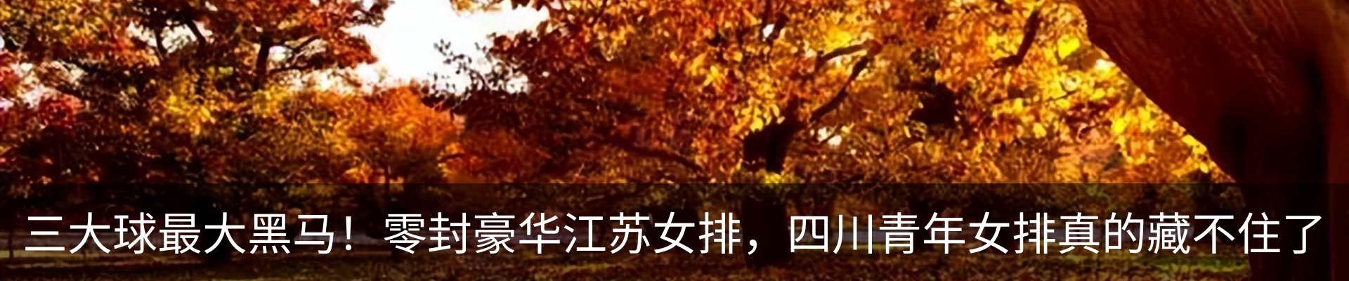 热点资讯