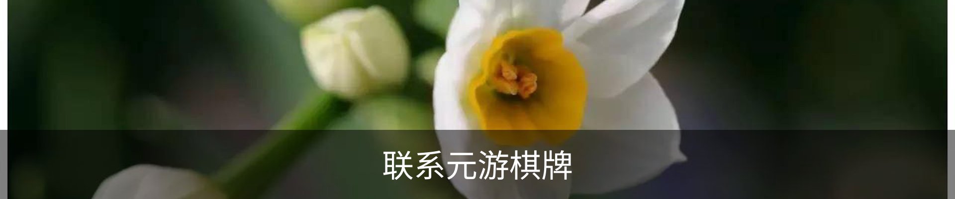 服务范围